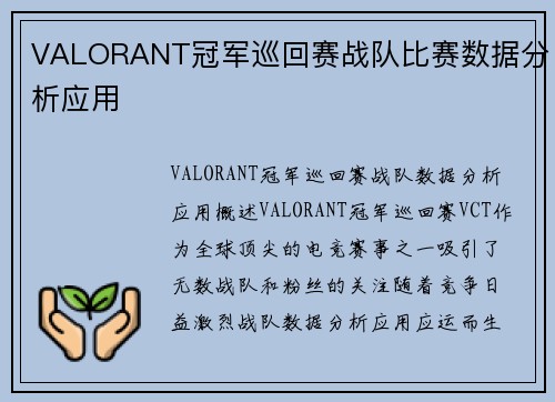 VALORANT冠军巡回赛战队比赛数据分析应用