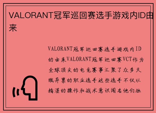 VALORANT冠军巡回赛选手游戏内ID由来